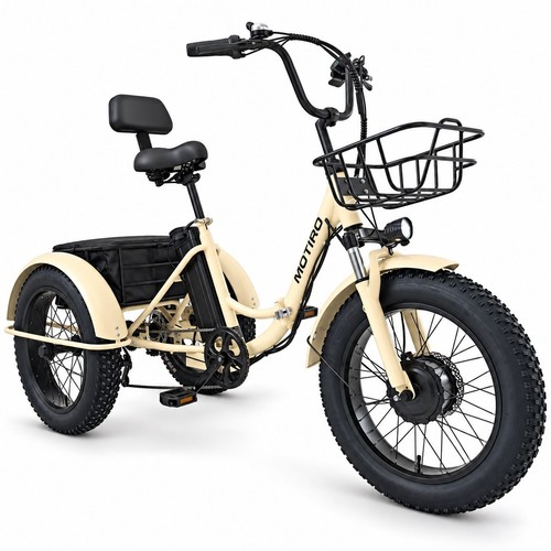 Triciclo elettrico adulti fat - elettrico,