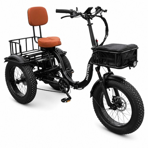 Triciclo elettrico fat bike